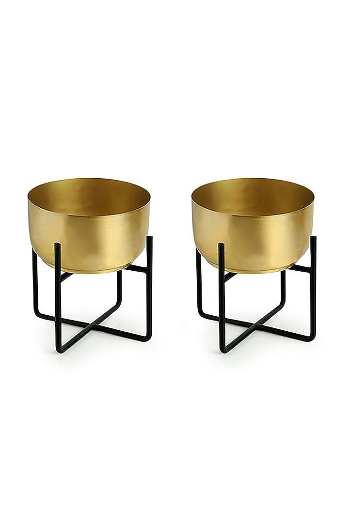 Gold & Black Metal Planters (Set of 2) by Order Happiness