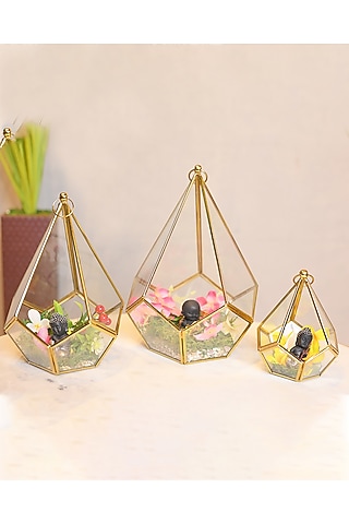 Golden Glass & Metal Terrarium (Set of 3) by Order Happiness