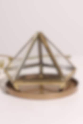 Golden Geometric Diamond-Cut Glass Planter by Order Happiness