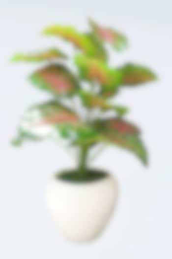White Polyresin Planters (Set of 2) by Order Happiness