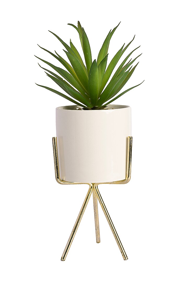 Green Polyester Artificial Sisal Succulent Bonsai Plant by H2H at Pernia's Pop Up Shop