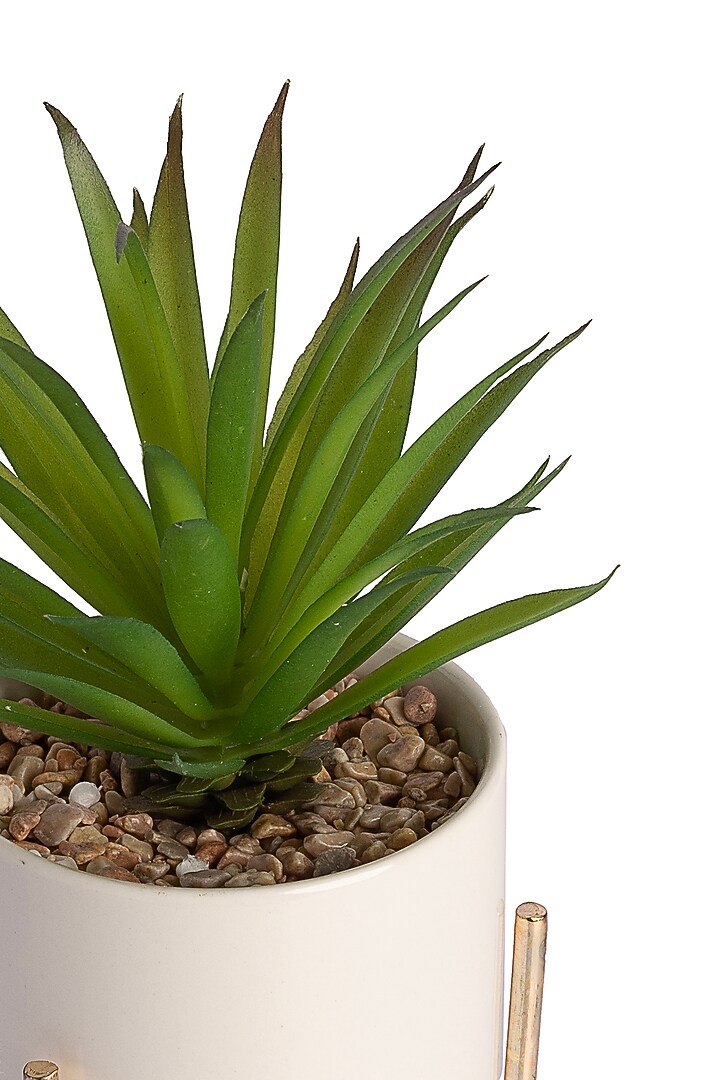 Green Polyester Artificial Sisal Succulent Bonsai Plant by H2H at Pernia's Pop Up Shop