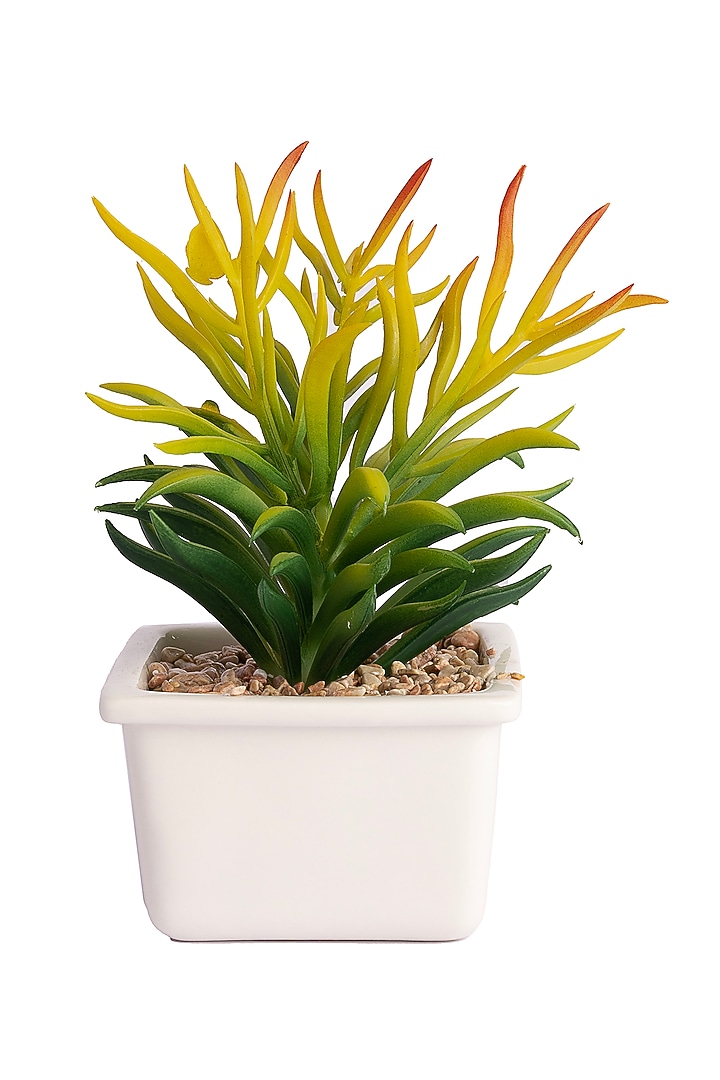 Green Polyester Artificial Succulent Bush Senecio Bonsai Plant by H2H at Pernia's Pop Up Shop
