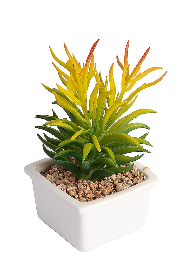 Green Polyester Artificial Succulent Bush Senecio Bonsai Plant by H2H at Pernia's Pop Up Shop