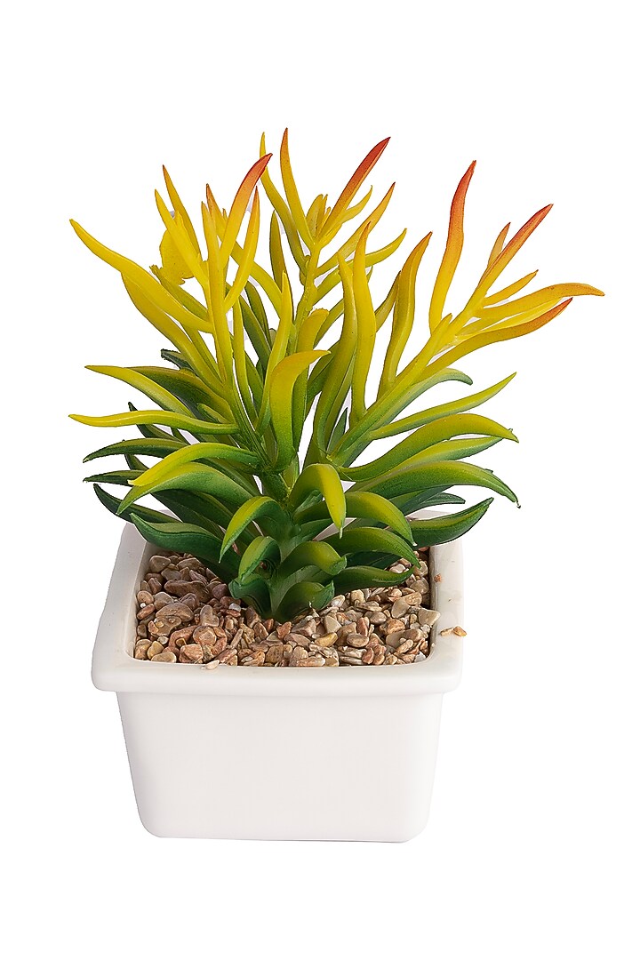 Green Polyester Artificial Succulent Bush Senecio Bonsai Plant by H2H at Pernia's Pop Up Shop