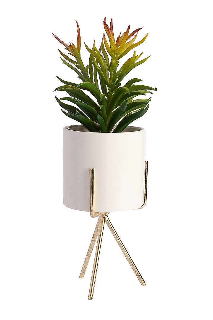 Green Polyester Artificial Succulent Bush Senecio Bonsai Plant by H2H at Pernia's Pop Up Shop