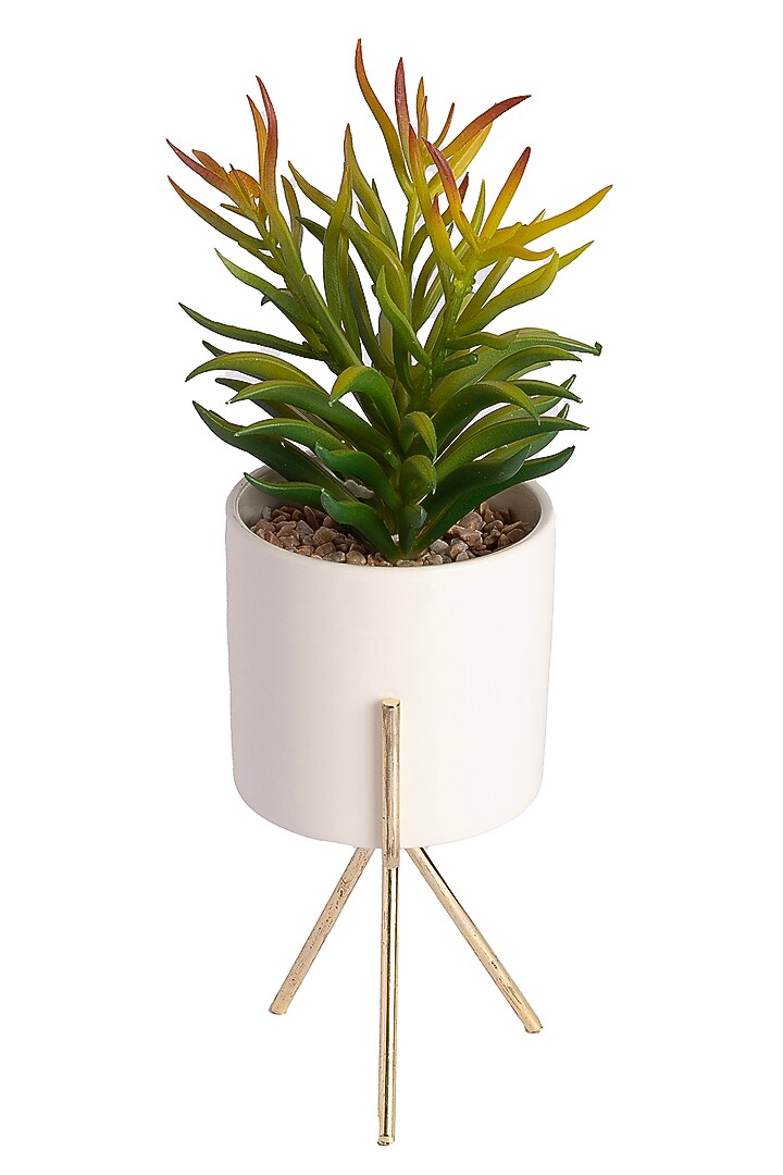 Green Polyester Artificial Succulent Bush Senecio Bonsai Plant by H2H at Pernia's Pop Up Shop