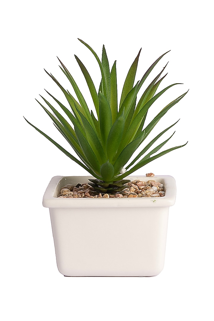 Green Polyester Artificial Agave Succulent Bonsai Plant by H2H at Pernia's Pop Up Shop