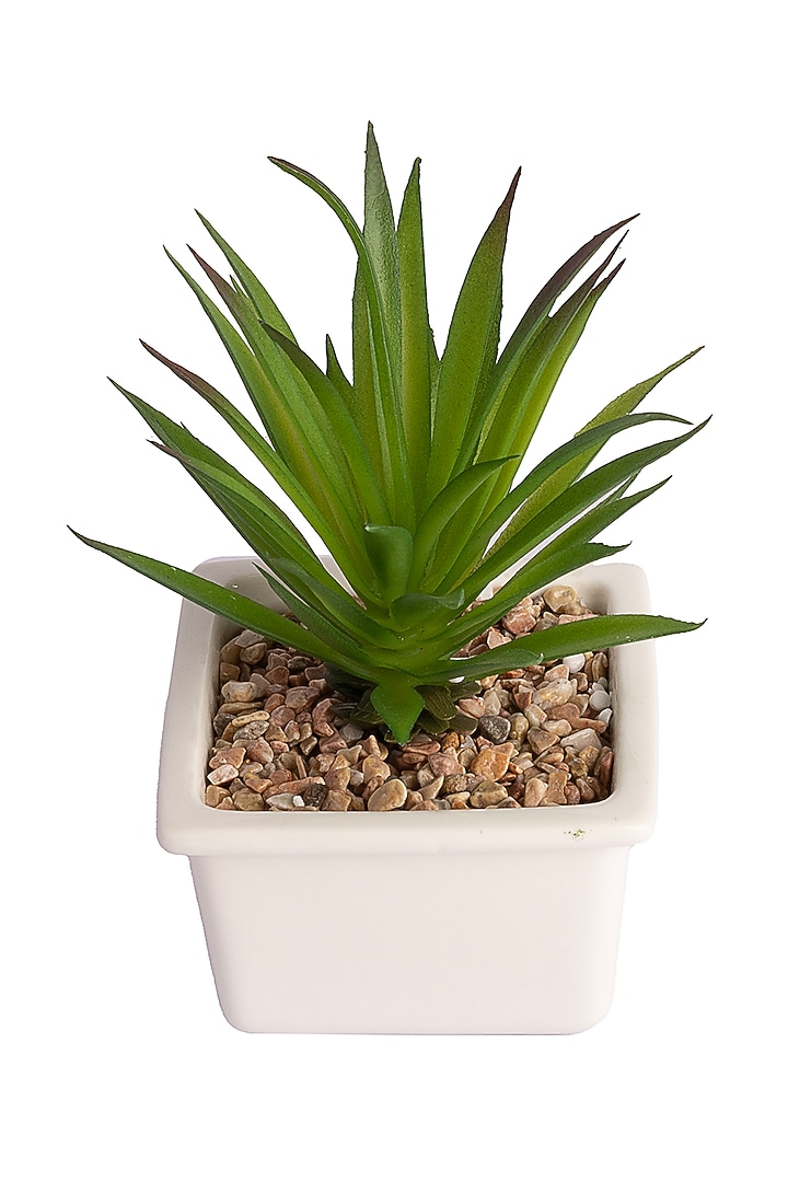 Green Polyester Artificial Agave Succulent Bonsai Plant by H2H at Pernia's Pop Up Shop