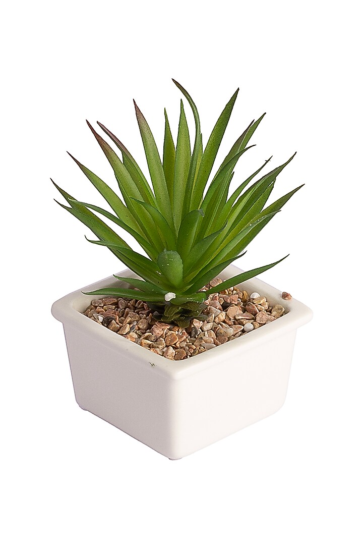 Green Polyester Artificial Agave Succulent Bonsai Plant by H2H at Pernia's Pop Up Shop