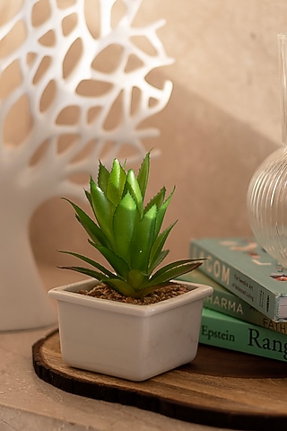 Green Polyester Artificial Aloe Vera Succulent Bonsai Plant by H2H