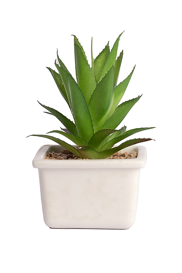 Green Polyester Artificial Aloe Vera Succulent Bonsai Plant by H2H at Pernia's Pop Up Shop