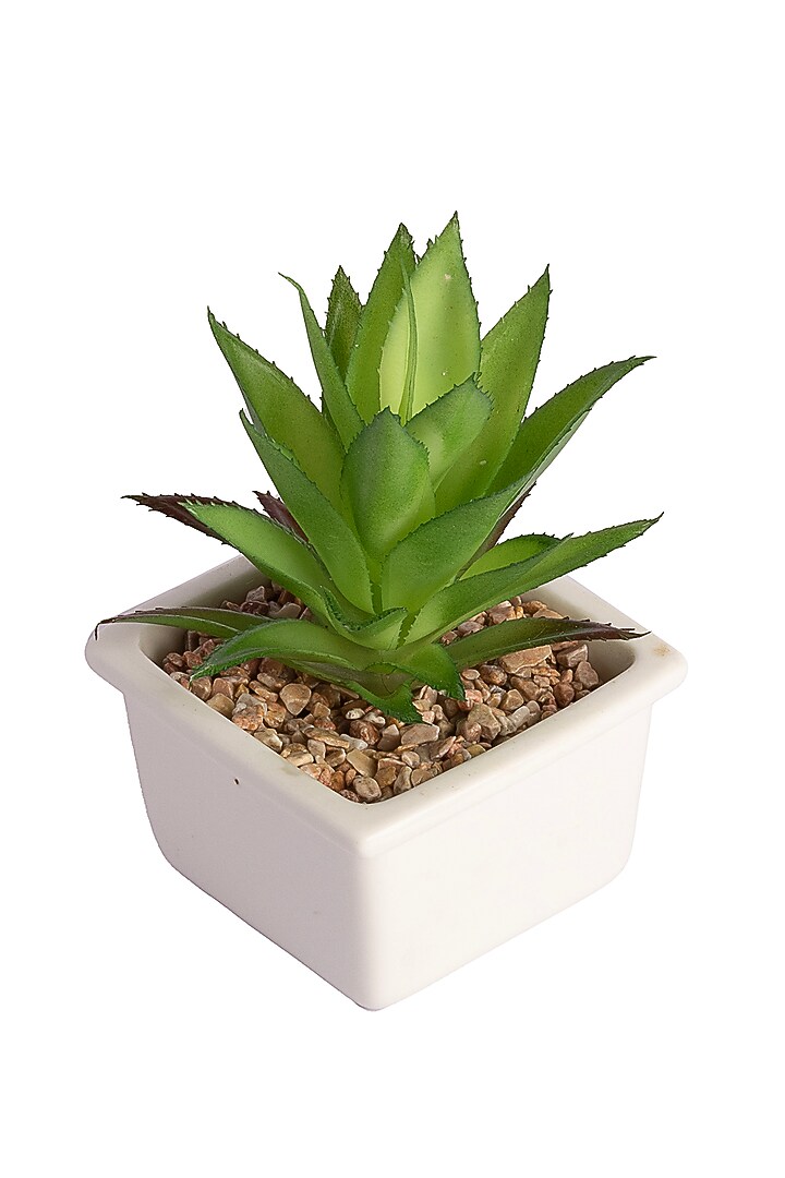 Green Polyester Artificial Aloe Vera Succulent Bonsai Plant by H2H at Pernia's Pop Up Shop