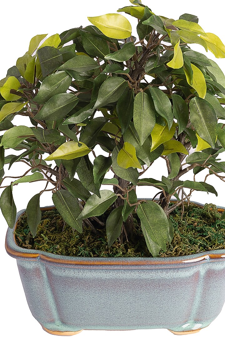 Green Polyester Artificial Succulent Bonsai Plant by H2H at Pernia's Pop Up Shop