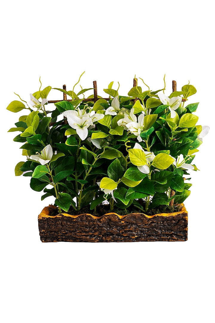 Green Polyester Artificial Bougainvillea Bonsai Plant by H2H at Pernia's Pop Up Shop