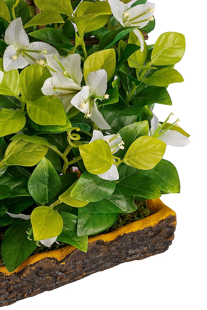 Green Polyester Artificial Bougainvillea Bonsai Plant by H2H at Pernia's Pop Up Shop