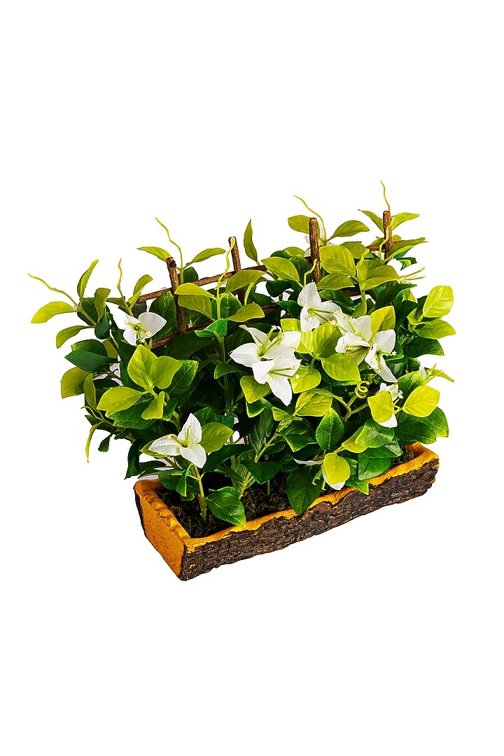 Green Polyester Artificial Bougainvillea Bonsai Plant by H2H at Pernia's Pop Up Shop