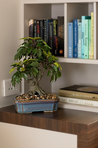 Green Polyester Artificial Broom Succulent Bonsai Plant by H2H