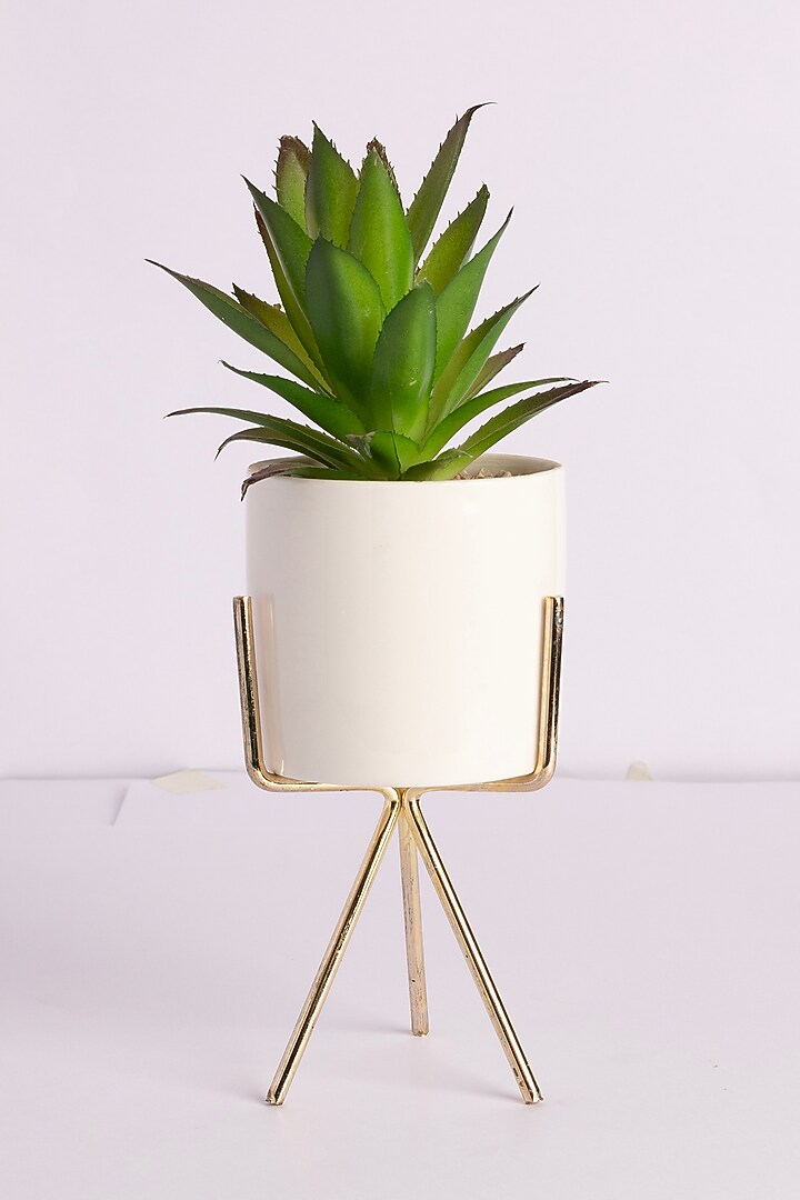 Green Polyester Artificial Century Succulent Bonsai Plant by H2H at Pernia's Pop Up Shop