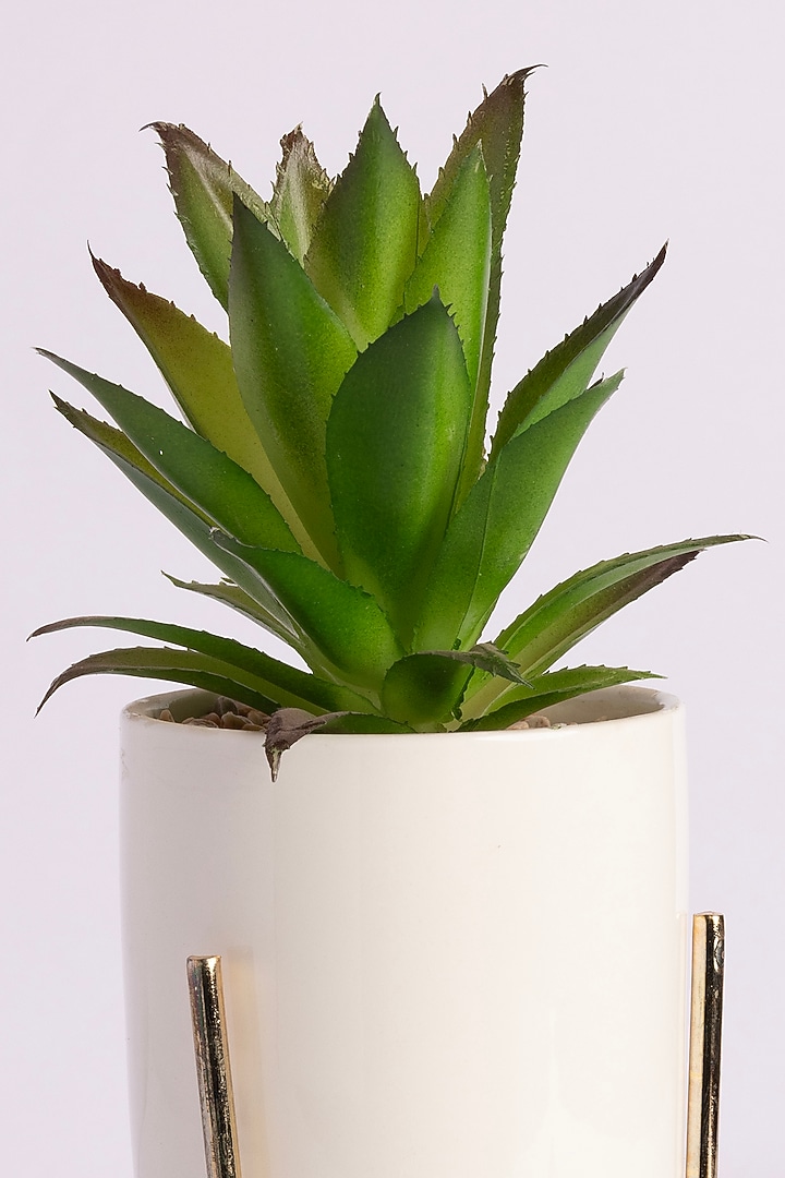 Green Polyester Artificial Century Succulent Bonsai Plant by H2H at Pernia's Pop Up Shop
