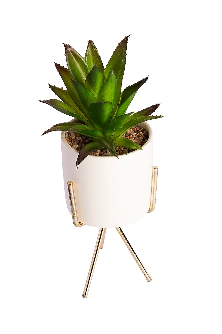 Green Polyester Artificial Century Succulent Bonsai Plant by H2H at Pernia's Pop Up Shop