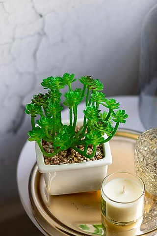 Green Polyester Artificial Clover Succulent Bonsai Plant by H2H