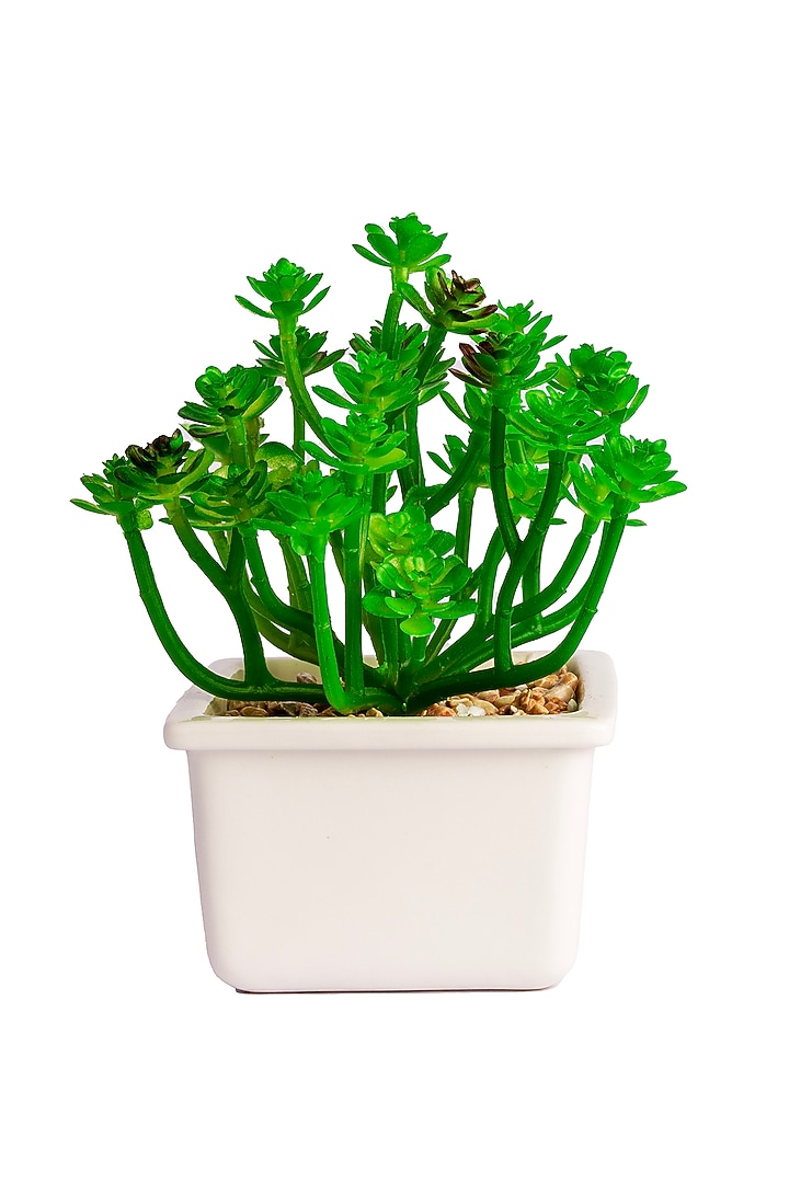 Green Polyester Artificial Clover Succulent Bonsai Plant by H2H at Pernia's Pop Up Shop