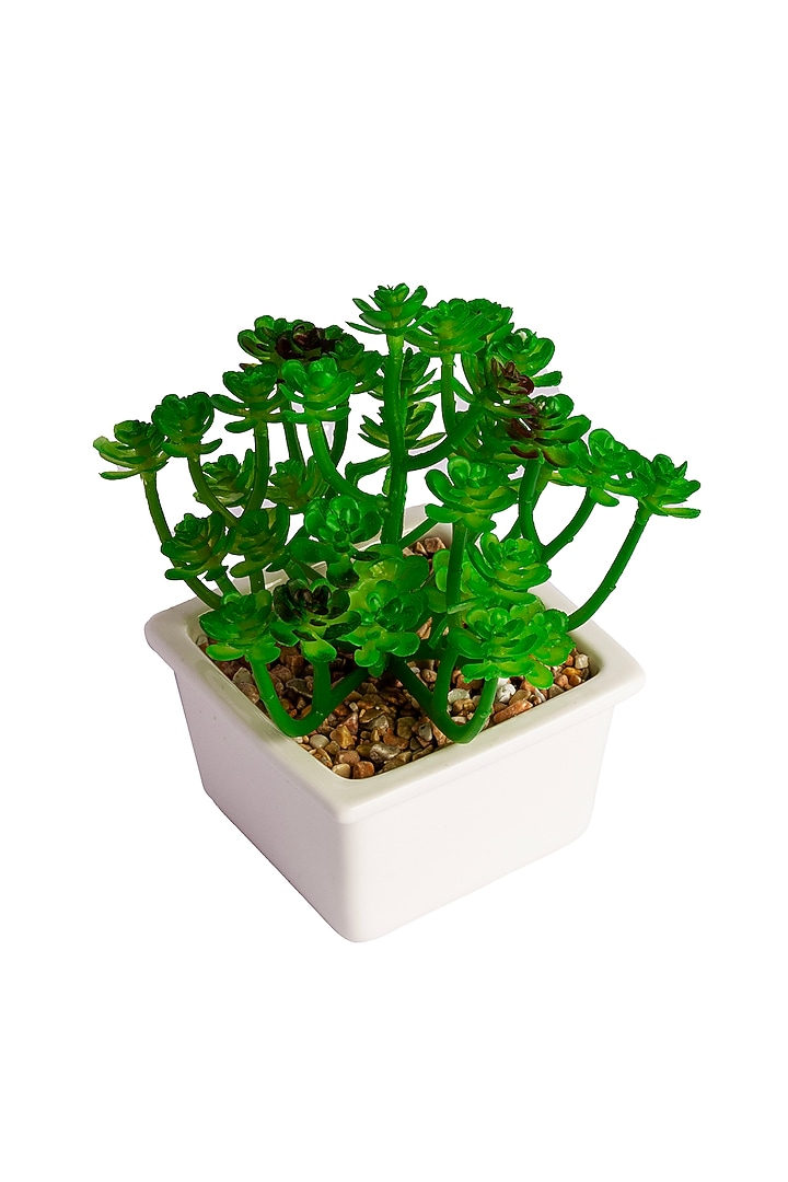 Green Polyester Artificial Clover Succulent Bonsai Plant by H2H at Pernia's Pop Up Shop