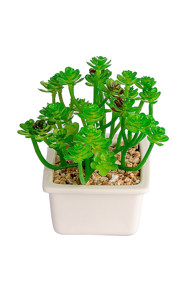 Green Polyester Artificial Clover Succulent Bonsai Plant by H2H at Pernia's Pop Up Shop