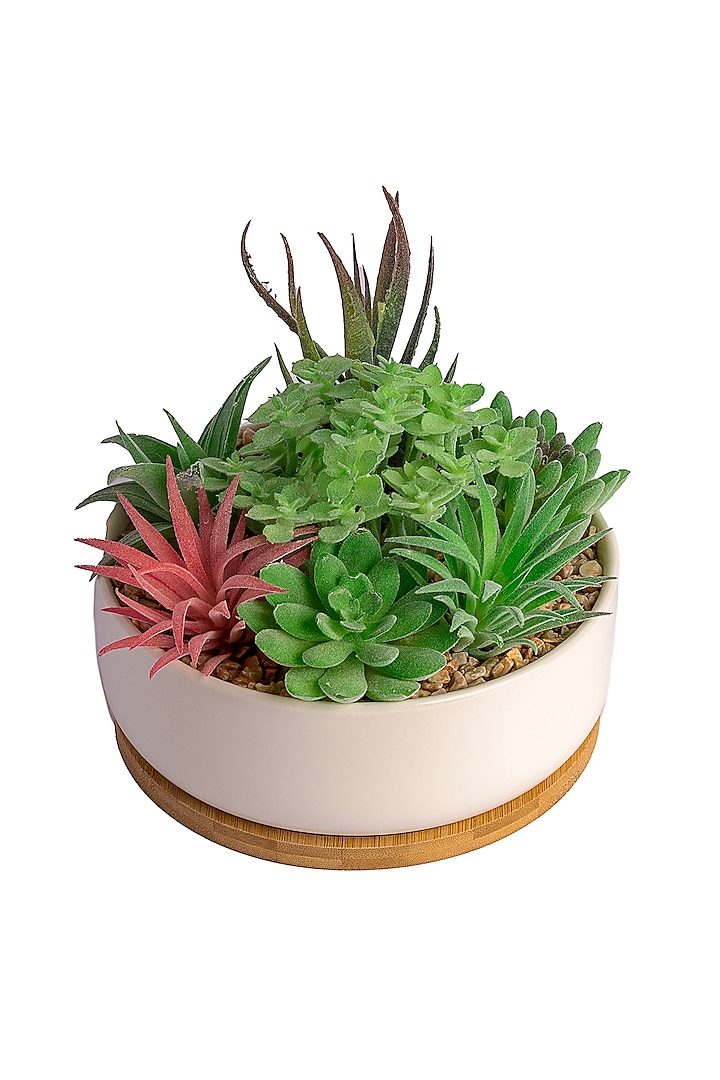 Green Polyester Artificial Echeveria Succulent Bonsai Plant by H2H at Pernia's Pop Up Shop