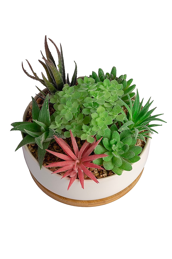 Green Polyester Artificial Echeveria Succulent Bonsai Plant by H2H at Pernia's Pop Up Shop