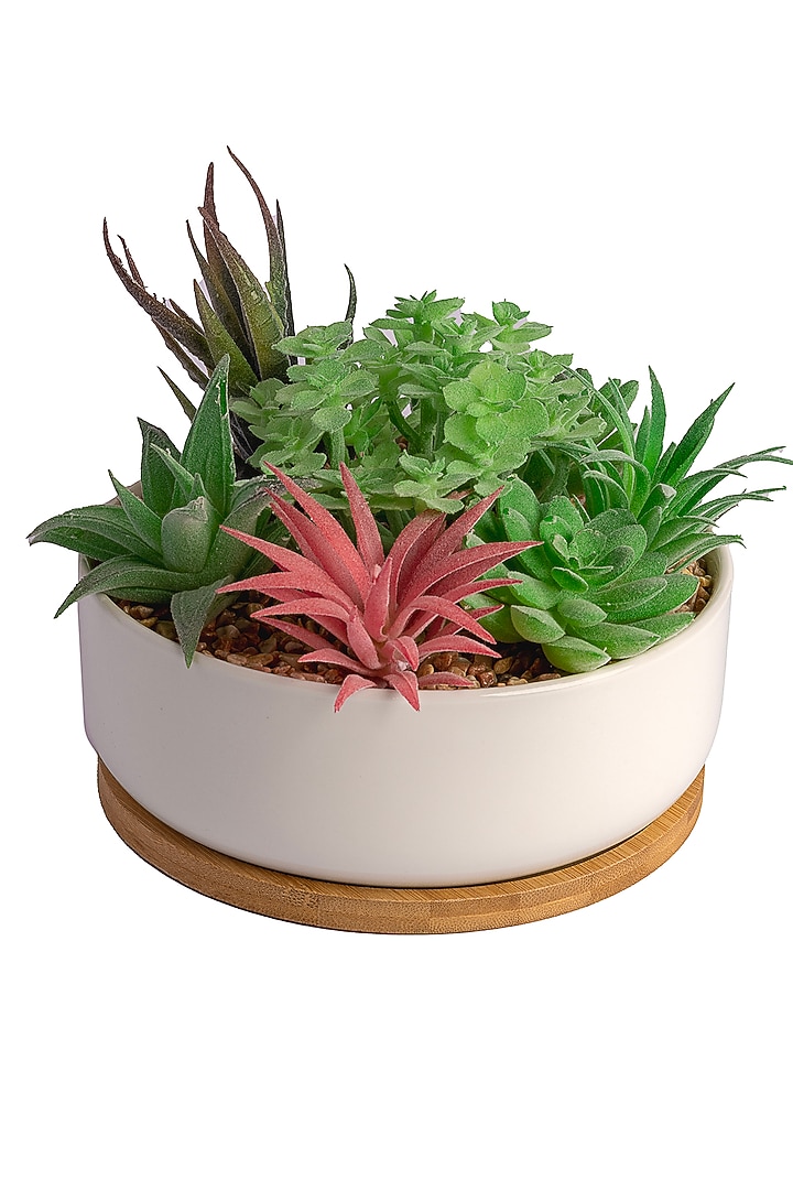 Green Polyester Artificial Echeveria Succulent Bonsai Plant by H2H at Pernia's Pop Up Shop