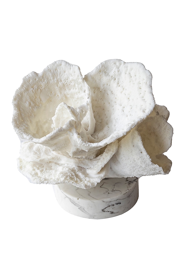 White Grits & Polyresin Coral Sculpture by H2H at Pernia's Pop Up Shop