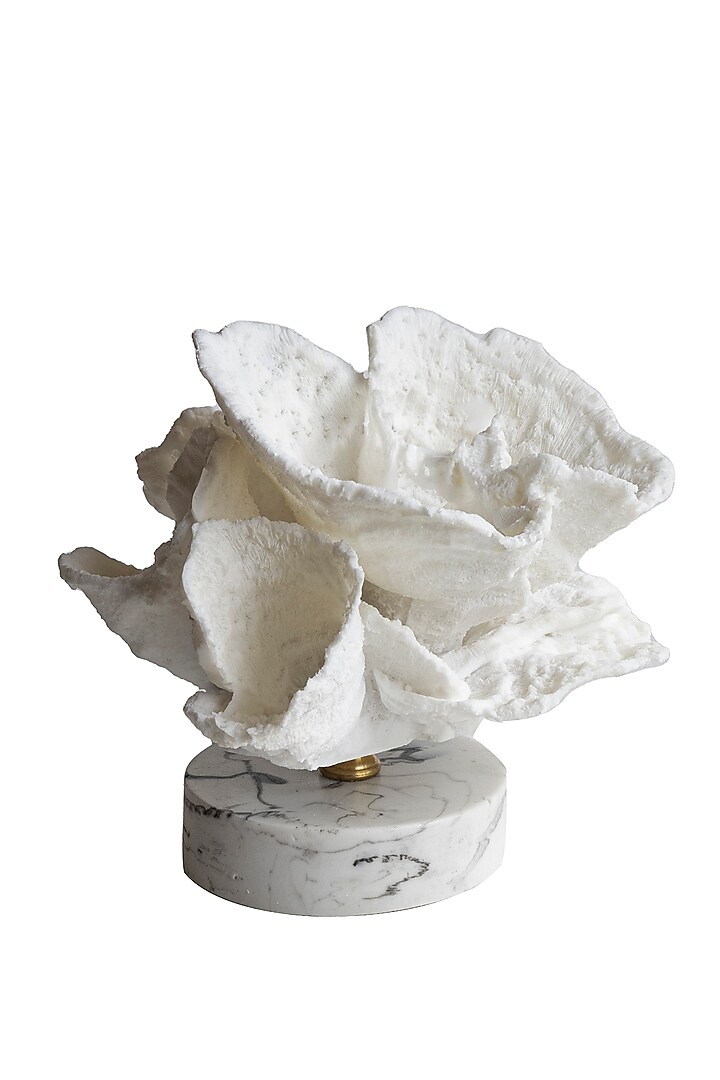 White Grits & Polyresin Coral Sculpture by H2H at Pernia's Pop Up Shop