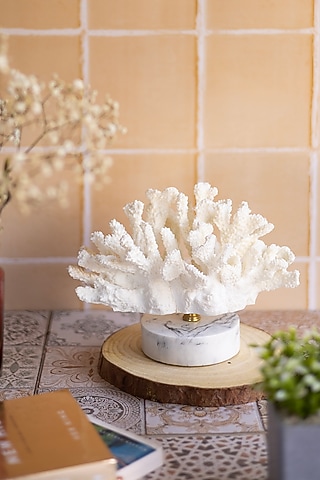White Grits & Polyresin Coral Sculpture by H2H