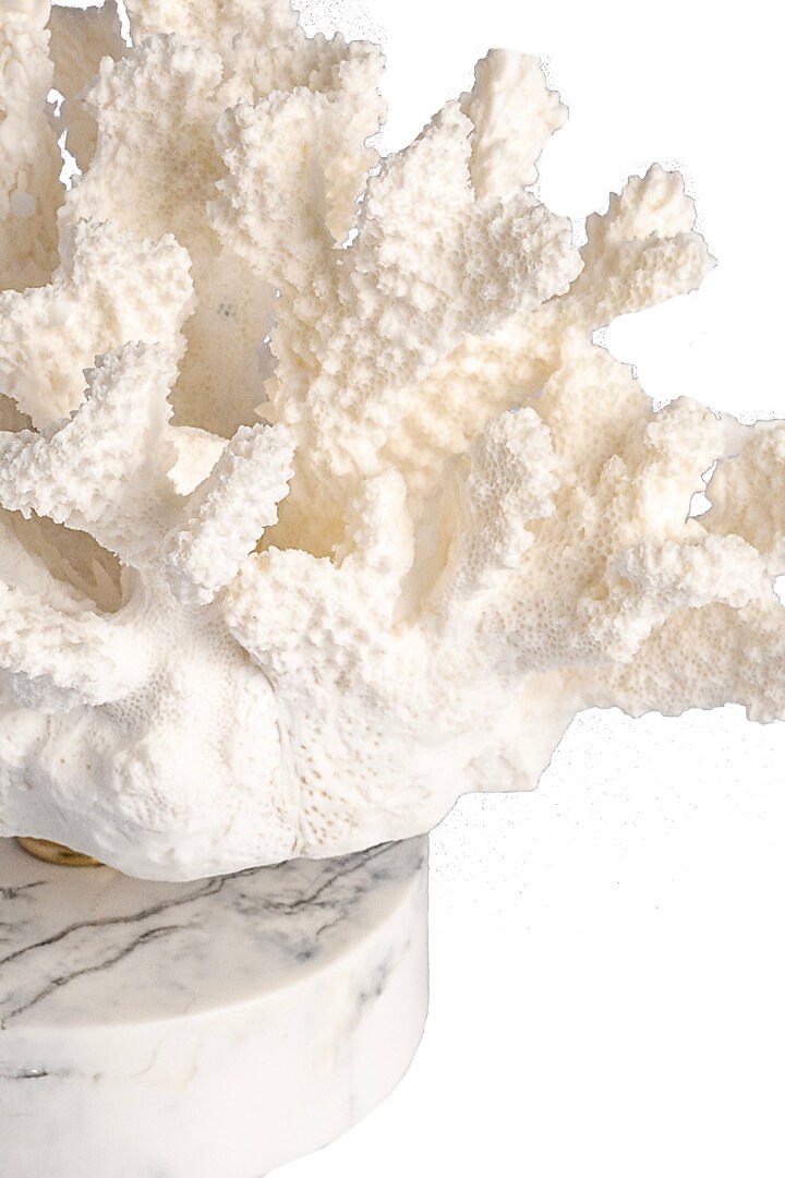 White Grits & Polyresin Coral Sculpture by H2H at Pernia's Pop Up Shop