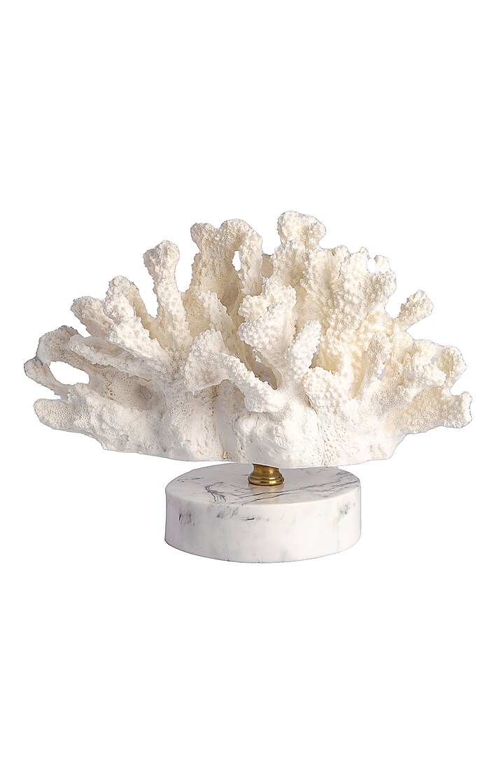 White Grits & Polyresin Coral Sculpture by H2H at Pernia's Pop Up Shop