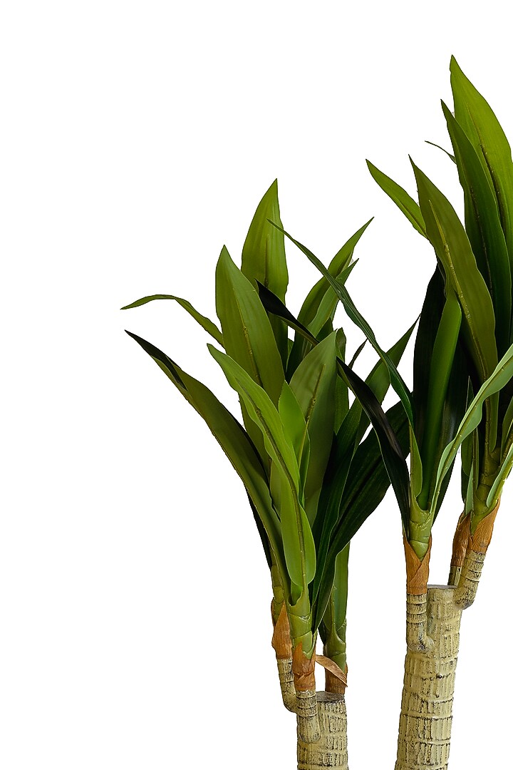 Green Polyester Artificial Dracaena Fragrant Plant by H2H at Pernia's Pop Up Shop