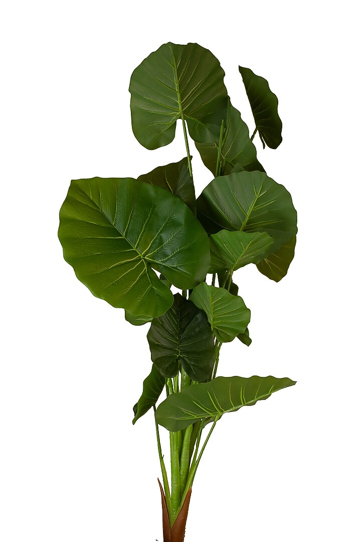 Green Polyester Artificial Flowers by H2H at Pernia's Pop Up Shop