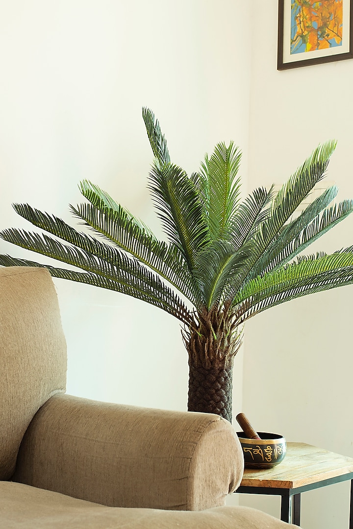 Green Faux Cycas Palm Plant by H2H