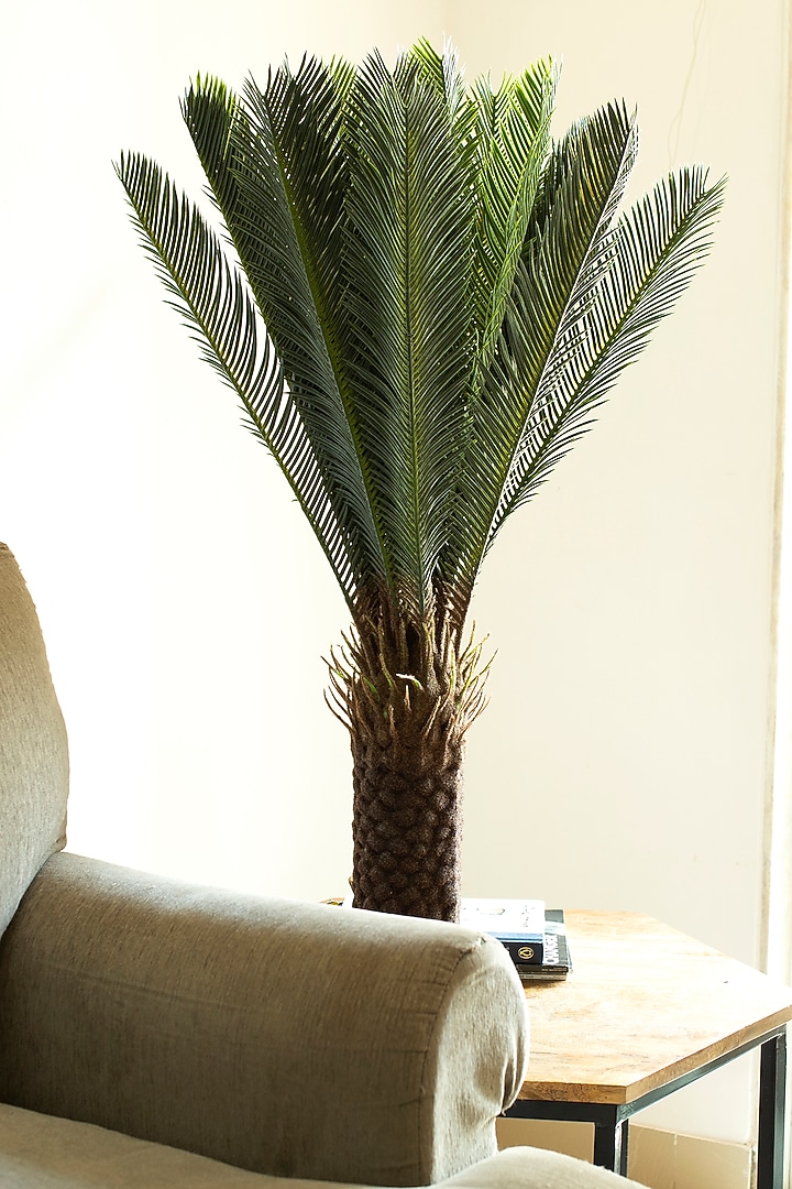 Green Faux Cycas Palm Plant by H2H at Pernia's Pop Up Shop