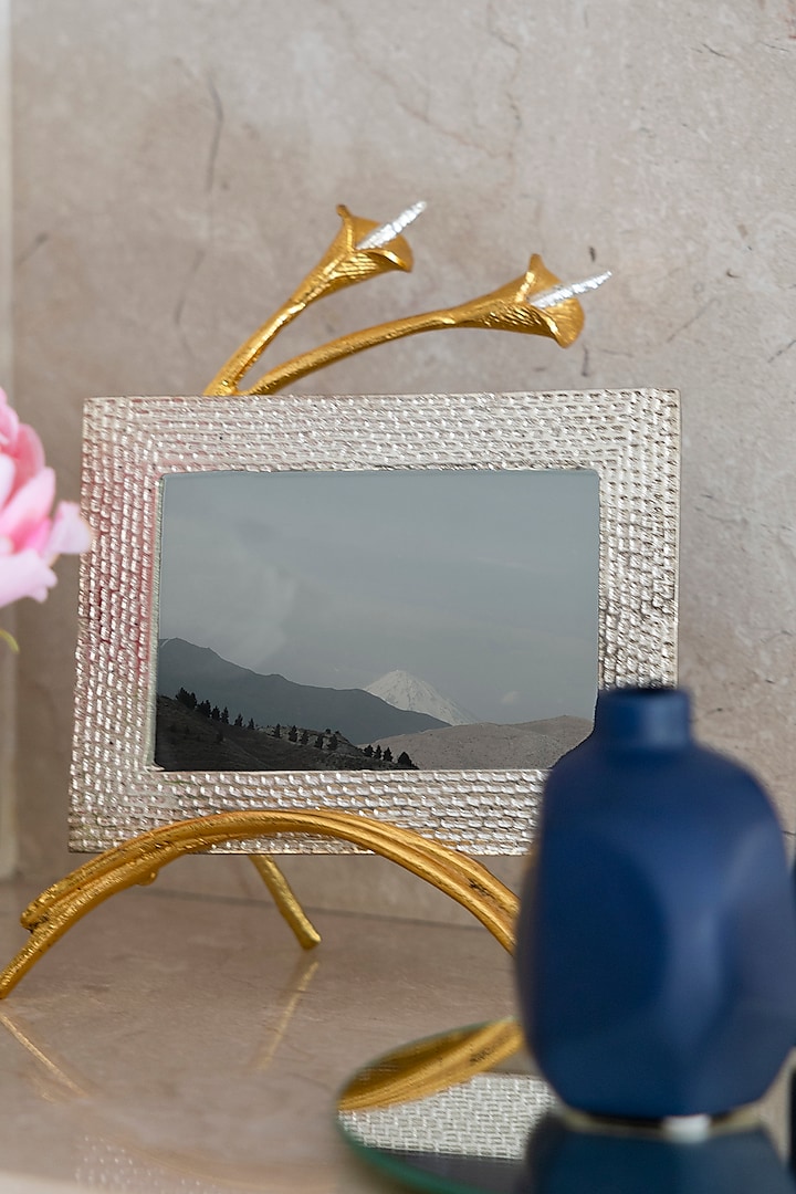 Silver & Gold Metal Photoframe by H2H