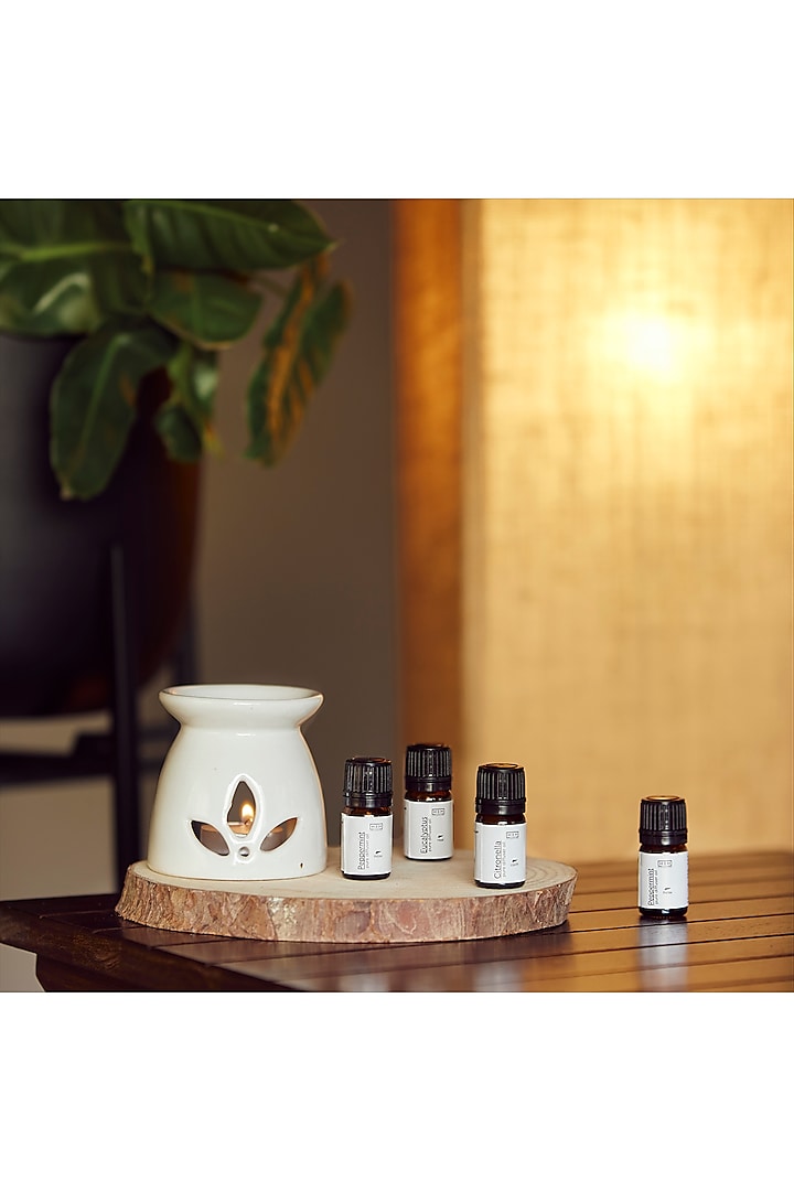 Raw Earth Diffuser & Essential Oils Gift Set by H2H