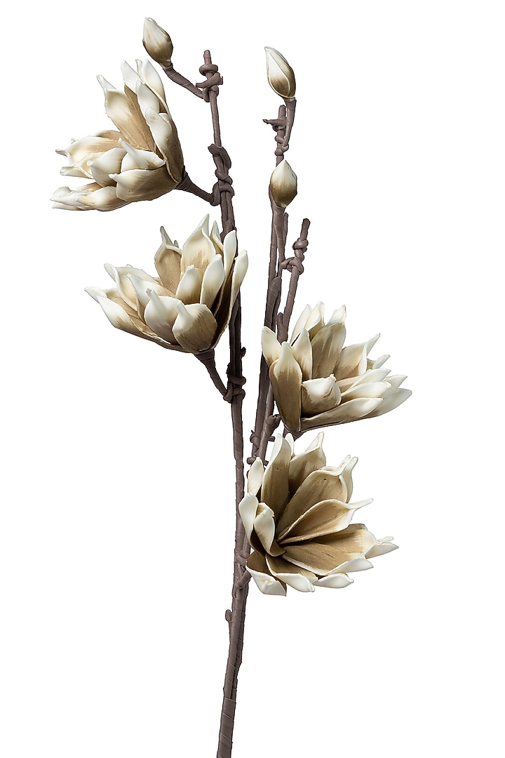 Olive Foam Southern Magnolia Flower Stems (Set of 2) by H2H at Pernia's Pop Up Shop