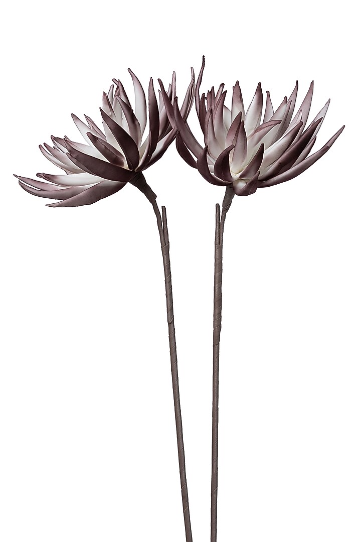 Purple Foam Sugar Bush Flower Stem (Set of 2) by H2H at Pernia's Pop Up Shop