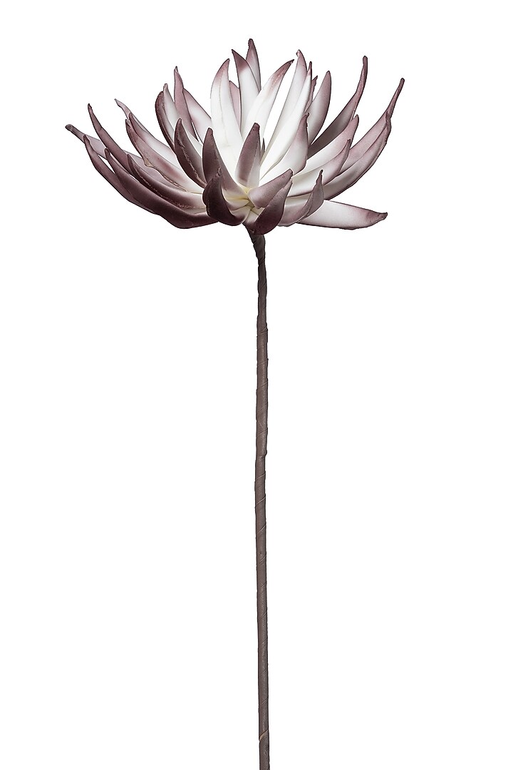 Purple Foam Sugar Bush Flower Stem (Set of 2) by H2H at Pernia's Pop Up Shop