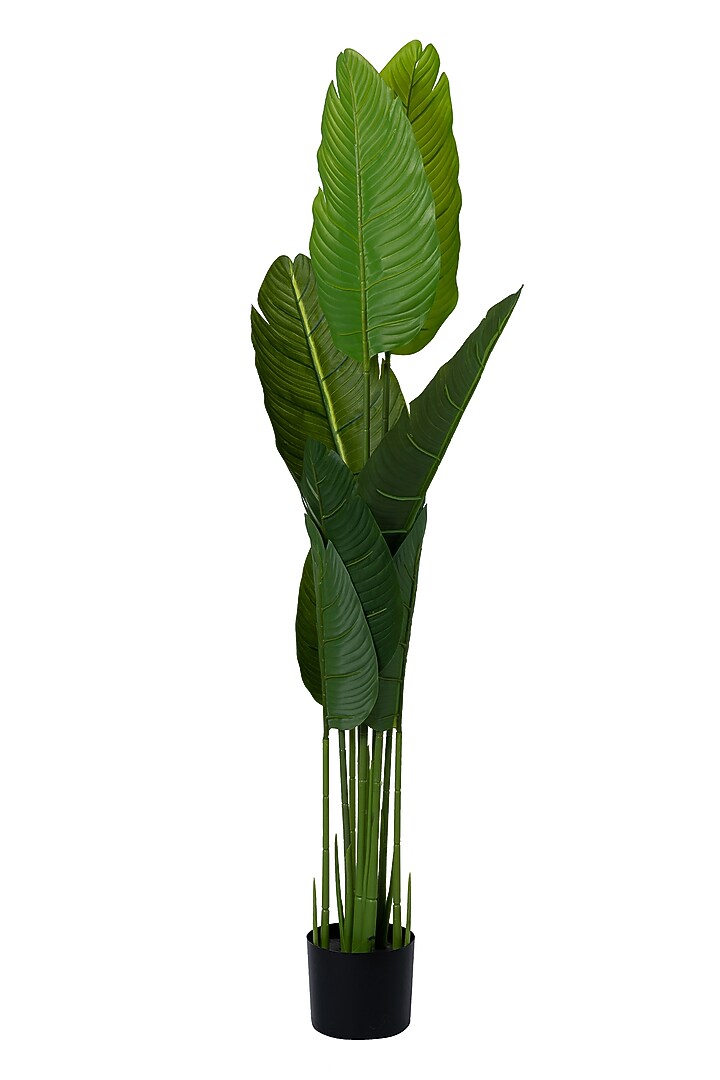 Green Polyester Artificial Banana Plant by H2H at Pernia's Pop Up Shop