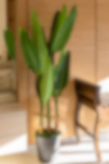 Green Polyester Artificial Real Touch Plant by H2H at Pernia's Pop Up Shop