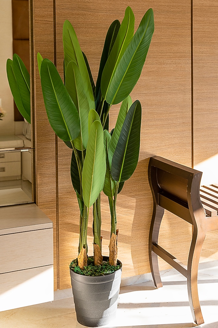 Green Polyester Artificial Real Touch Plant by H2H at Pernia's Pop Up Shop