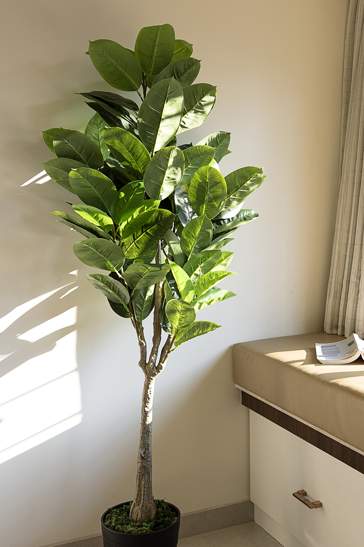 Green Polyester Artificial Rubber Plant by H2H at Pernia's Pop Up Shop